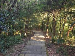 -清溪大王山森林公园