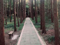 -同里国家湿地公园