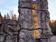 -汤旺河林海奇石景区