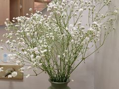 -梅花境(万科店)