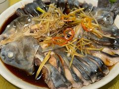 -煲来饱去冷水鱼