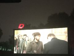 -枫花园汽车电影院(朝阳公园店)