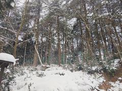 -四明山国家森林公园