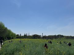 -广富林郊野公园