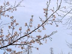 -杭州植物园
