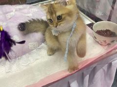 -郑州国际会展中心