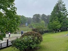 -铁山坪森林公园