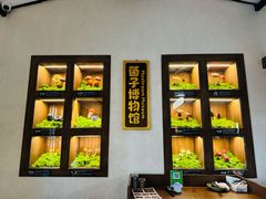 -菌自由丨野生菌火锅特色庭院餐厅(丽江古城店)