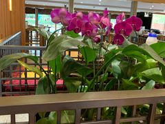 -纽斯桑拿会所(东绣路店)
