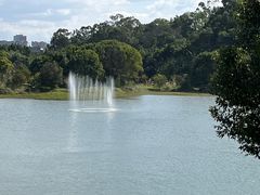 -福建鲤鱼洲酒店