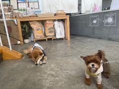 -隹木咖啡馆(宝龙广场店)