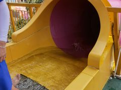 -重庆海昌加勒比海水世界