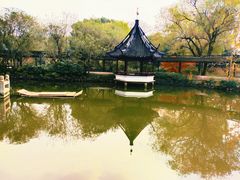 -上海醉白池公园