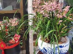 -良友花店(天目山路店)