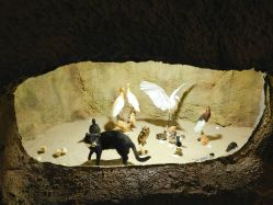 -酷嗒动物文化乐园(cutezoo西溪乐天城店)