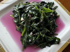 清炒观音菜-宴武夷·匠心闽味(印象大红袍店)