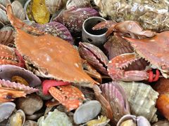 -沿海渔家院海鲜饺子·东北菜(止锚湾店)