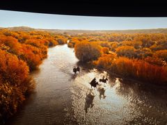 -华谊兄弟影院(IMAX洋桥店)