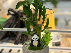 -沃尔玛(星湖商业城店)