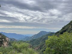 -大岭沟猕猴桃谷风景区