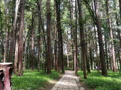 -同里国家湿地公园