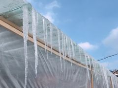 -果松木炭酸菜铜火锅·外婆参鸡汤