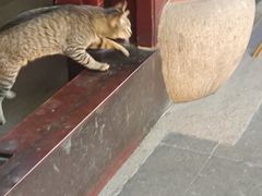 -无锡惠山寺