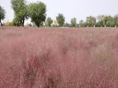 -汉长安城未央宫国家考古遗址公园