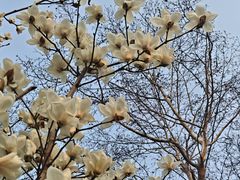 -衡山路(地铁站)