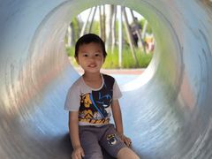 -春花秋色城市公园