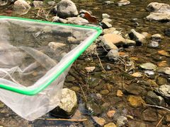 -碓臼峪自然风景区