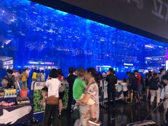 -成都浩海立方海洋公园