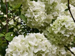 -大龙山(地铁站)