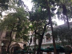 -星巴克臻选(广州沙面店)