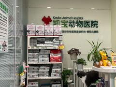 -悦宠凯宝动物医院·牙科·皮肤科(朝阳北路店)
