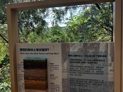 -佛慧山