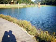 -广州市石门国家森林公园