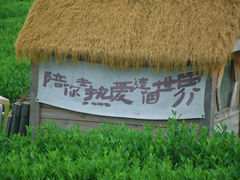 -龙坞茶村