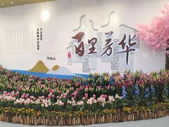 -万顷园艺世界