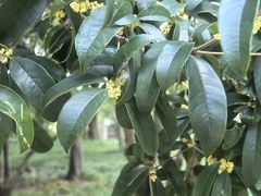 -梅林春晓花园餐厅(滨江公园店)