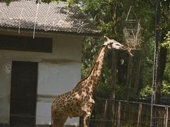 -杭州动物园