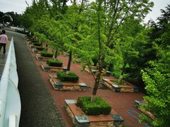 -大兴滨河森林公园