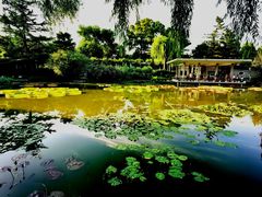 -国家植物园南园