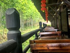 -大唐贡茶院