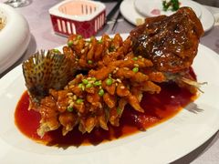 -RIVIERA 松鹤楼(外滩店)