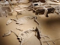 -洛阳周王城天子驾六博物馆