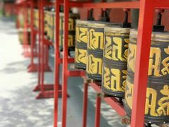 -护国法轮寺