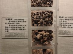 -中国农业博物馆