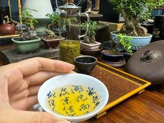 -正源安吉白茶特产享购商场(安吉店)