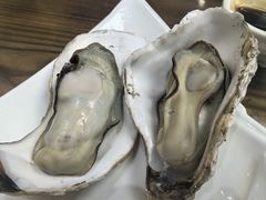 -鲁前海沿儿